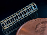 Shree Rapid Technologies: Micro 3D Printing (µm Precision)