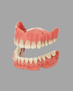 NextDent Jet Base & Teeth