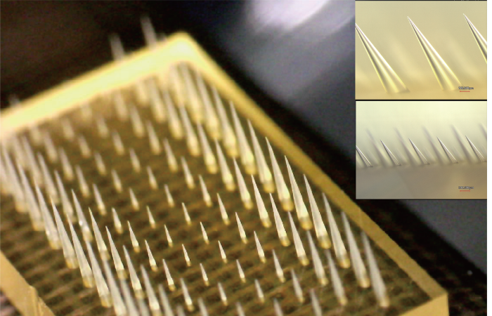 BMF microArch®D0210